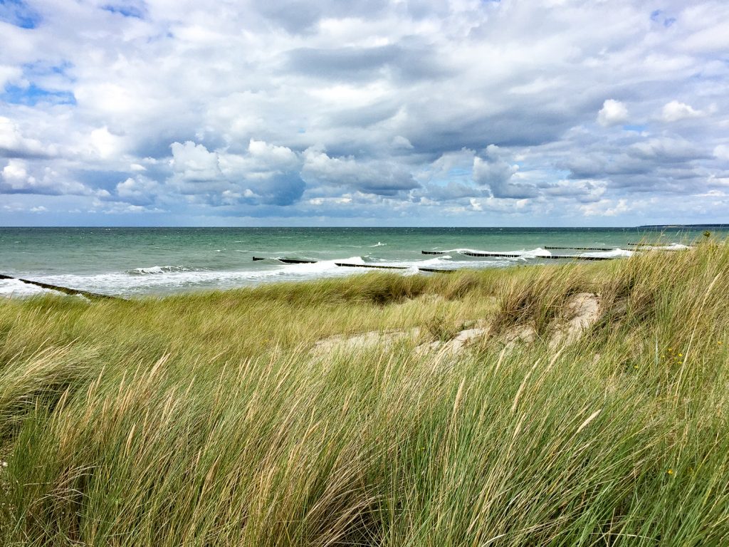 Naturstrand bei Ahrenshoop