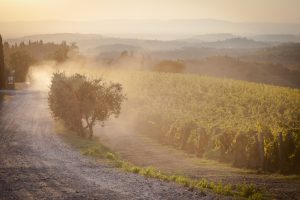 Landwirtschaft in der Toskana